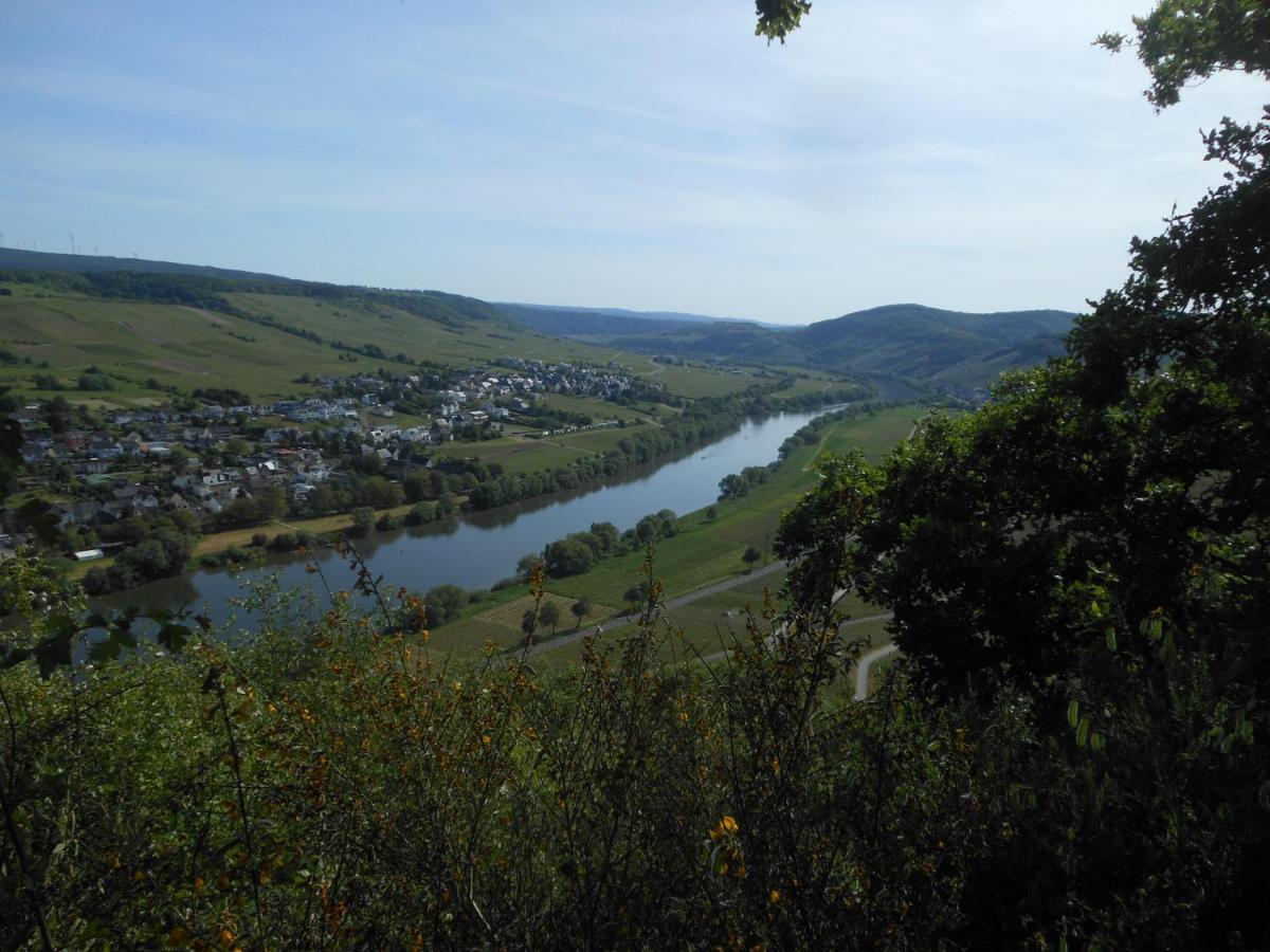 Ferienhaus Mosel Villa Brauneberg Buitenkant foto
