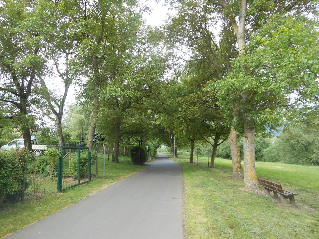 Ferienhaus Mosel Villa Brauneberg Buitenkant foto