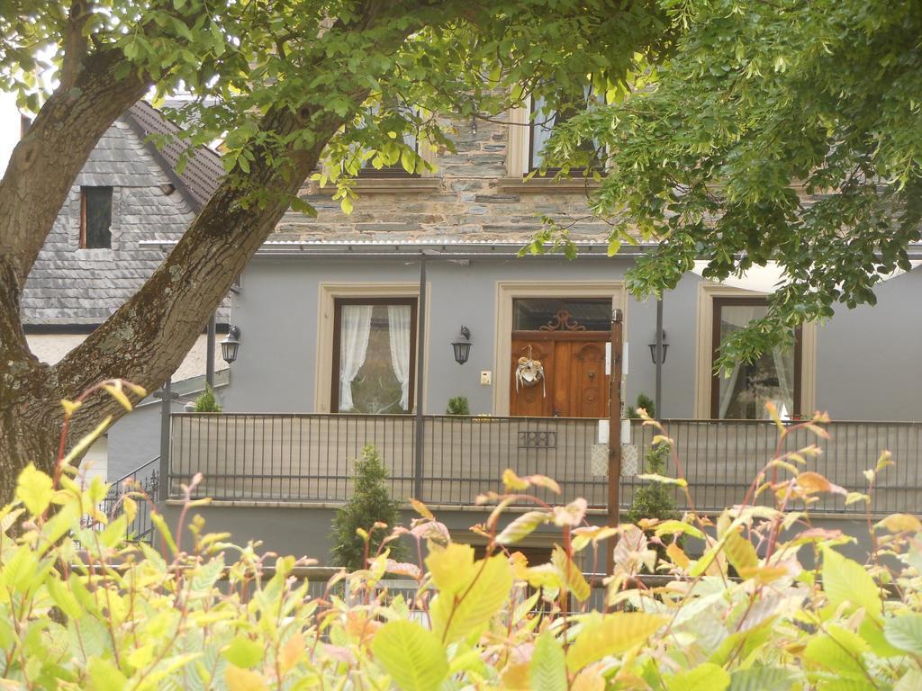 Ferienhaus Mosel Villa Brauneberg Buitenkant foto