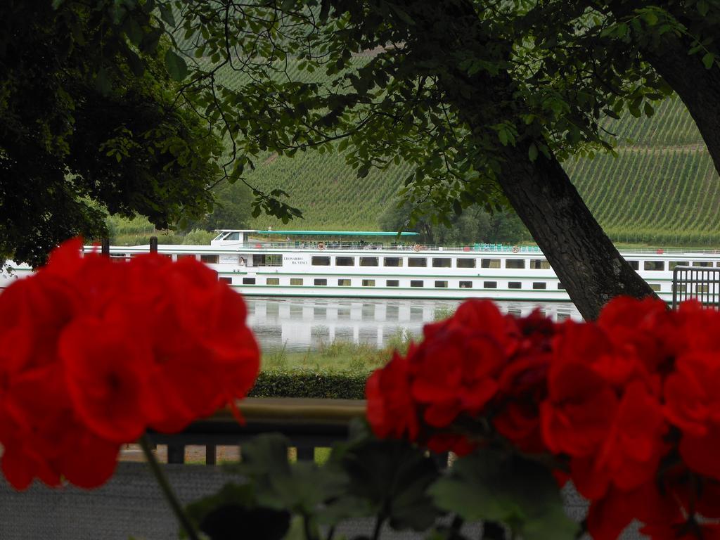 Ferienhaus Mosel Villa Brauneberg Buitenkant foto